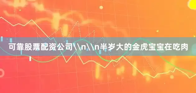 可靠股票配资公司\n\n半岁大的金虎宝宝在吃肉