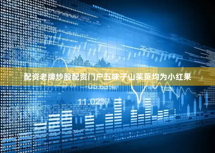 配资老牌炒股配资门户五味子山茱萸均为小红果